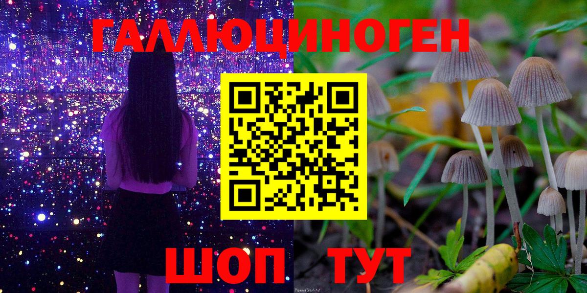 Псилоцибиновые грибы мухоморы Павловский Посад
